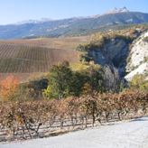 Salgesch is de duits-franse-taalgrens. Mooie wandeling langs de vele wijngaarden bvan grote wijnhuizen. In de Regio van Stella Alpina 95